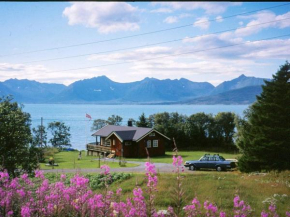 Holiday home BORKENES